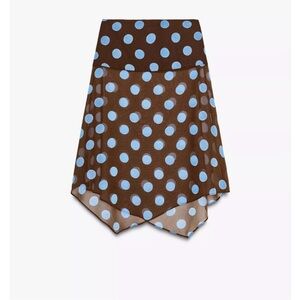 Zara Brown Midi Skirt with Blue Polka Dots